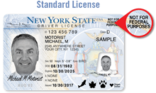 new york license standard