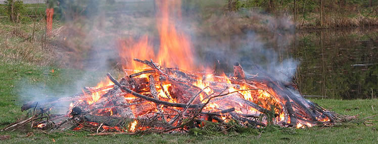 Open air fire on grass, next to a pond.