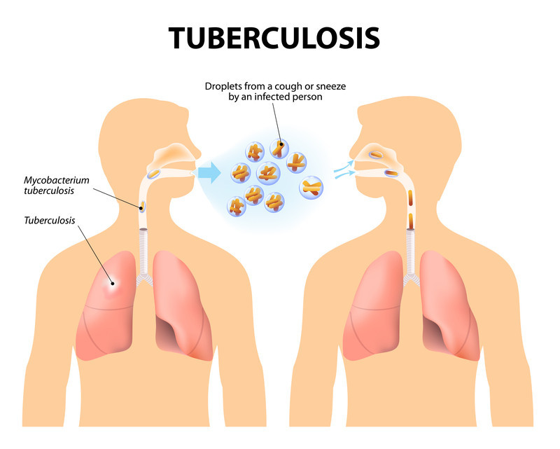 The picture shows respiratory droplets from a cough or sneeze by an infected person, entering the body of another person by breathing them in through their mouth and nose.