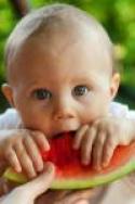 A baby is seen chewing on a piece of watermelon. They have both their hands on the red part, and an adult's hand is holding on to the rind of the watermelon to stabilize the baby.