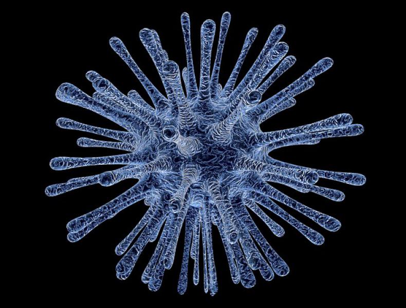 A virus is shown on a solid black background. It is a small dark blue circle with many long protrusions coming from all angles. Each protrusion extends straight out from the base and ends in a rounded tip.